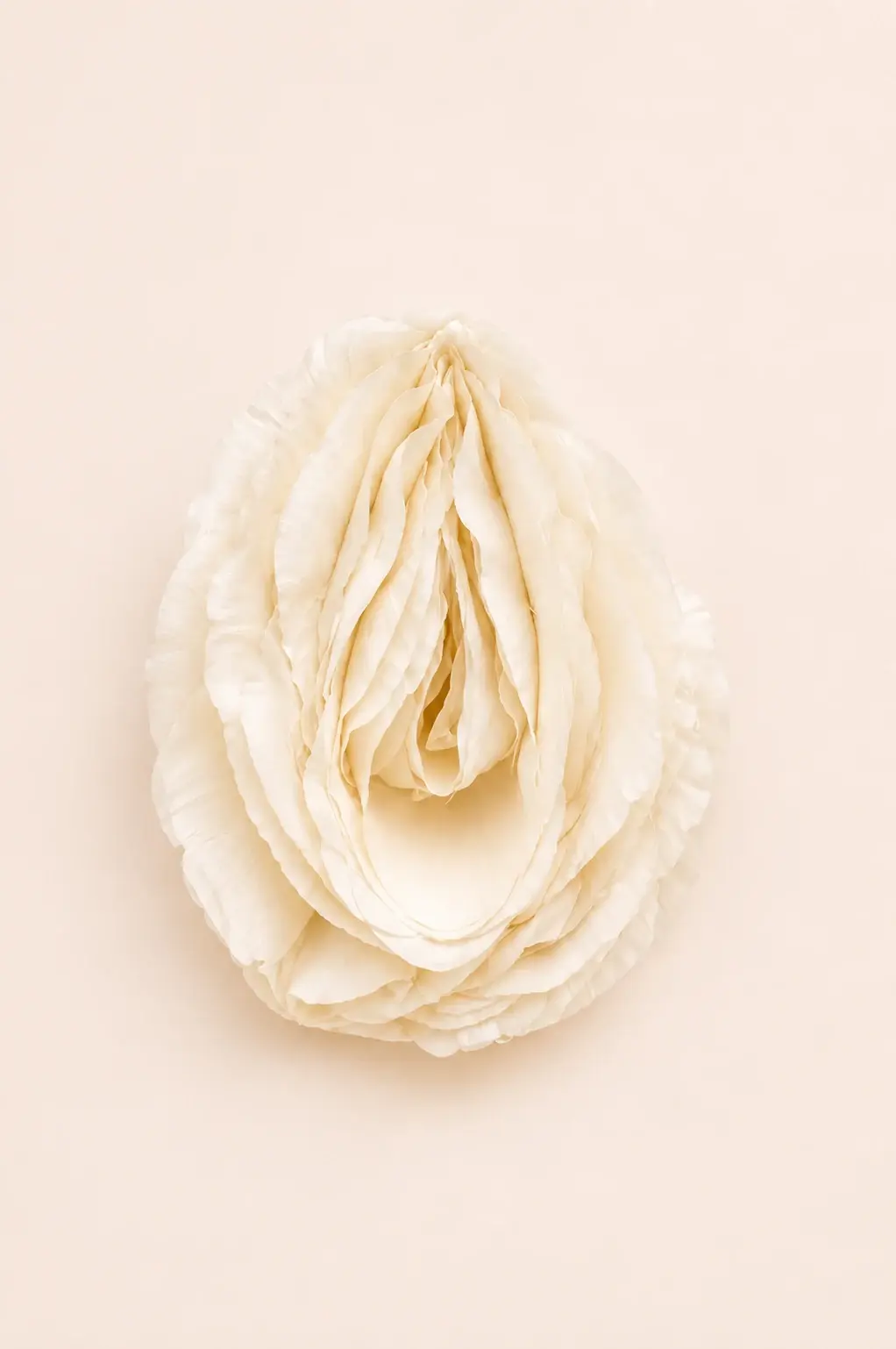 Composição ilustrativa de uma flor clara sobre fundo suave